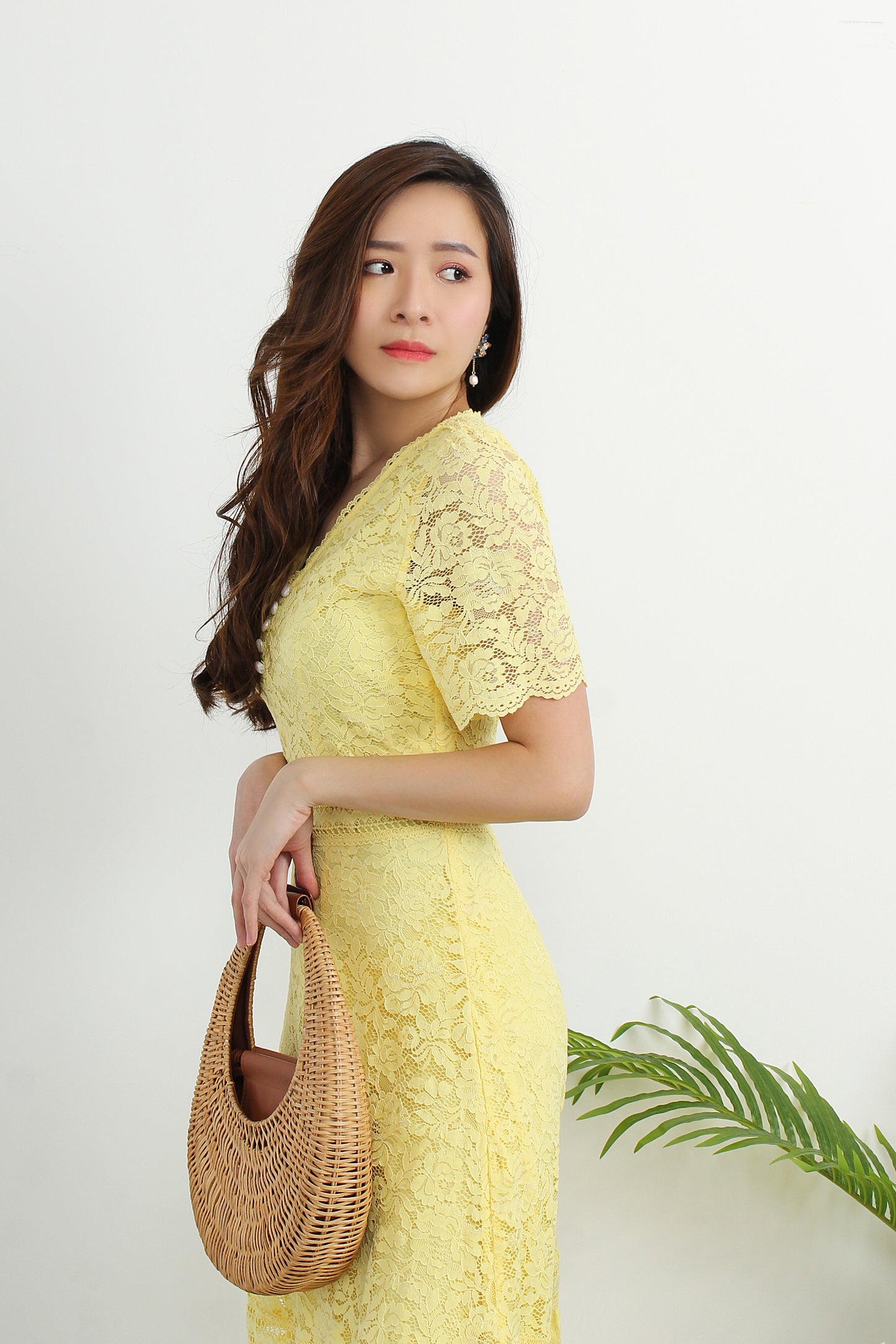 Astraea V-Neck Lace Dress