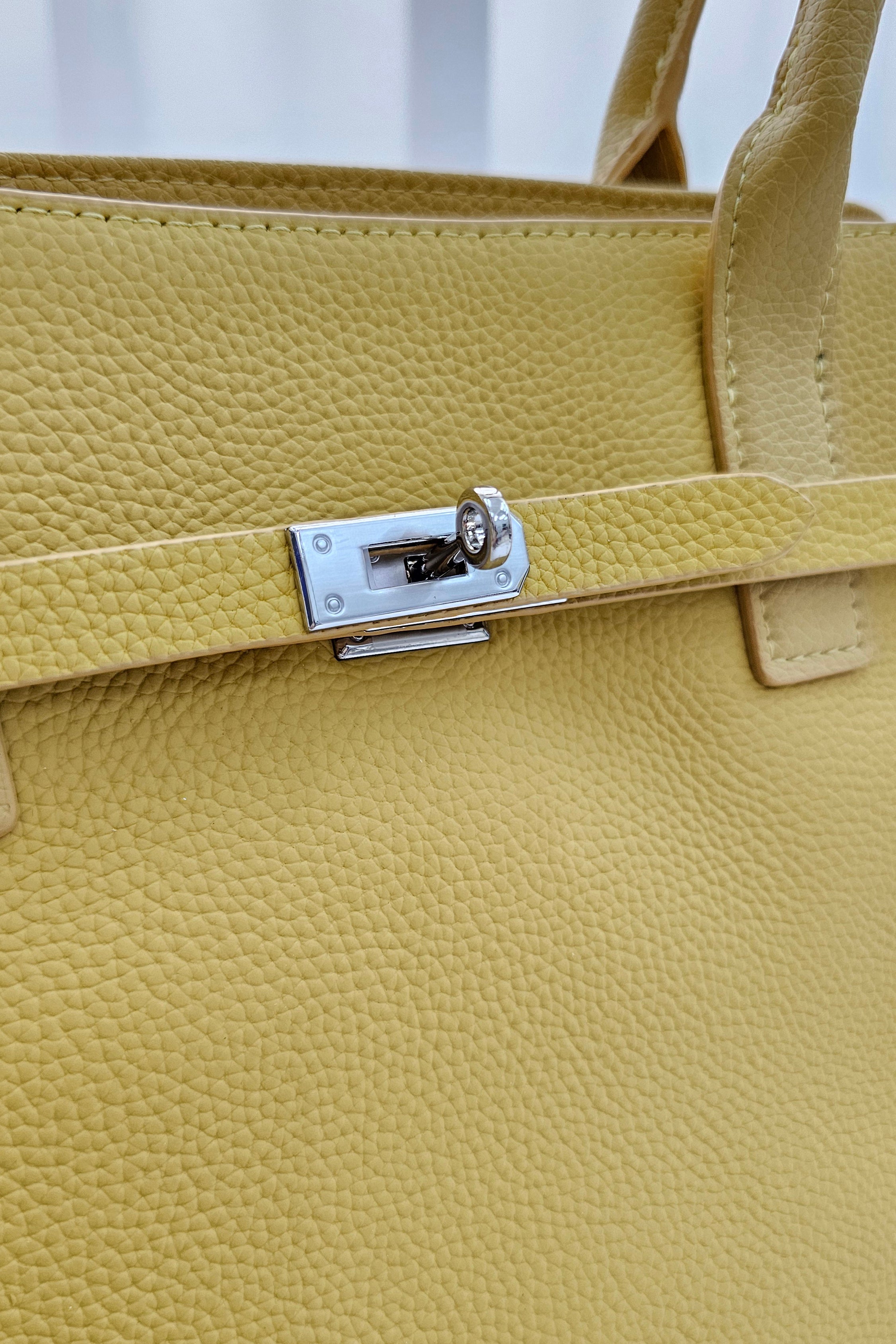 Luxe Handbag