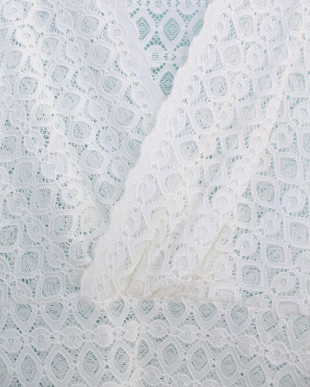 Taya Lace Blouse in White (XL Size)