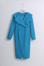 Big Collar Long Sleeve Dress (M size)