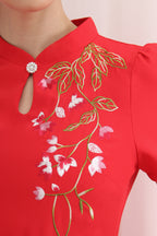 Chaska Embroidered Modern Cheongsam