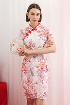 Ru Yi Eyelet Cheongsam