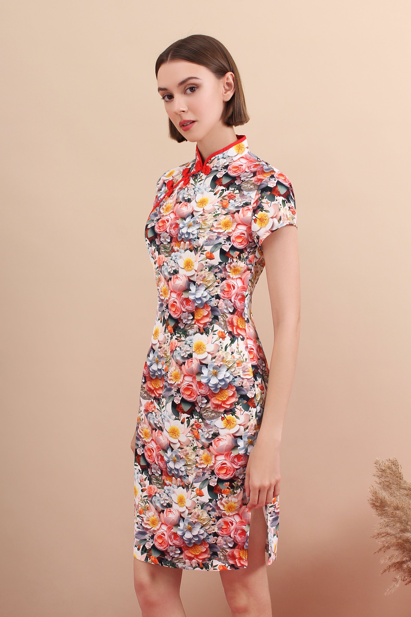 Qing Lan Printed Cheongsam Dress in Red