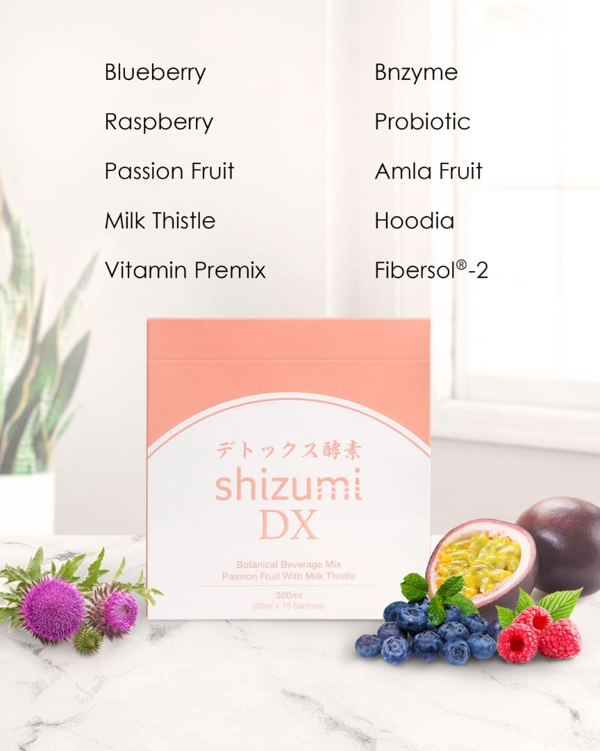 Shizumi DX